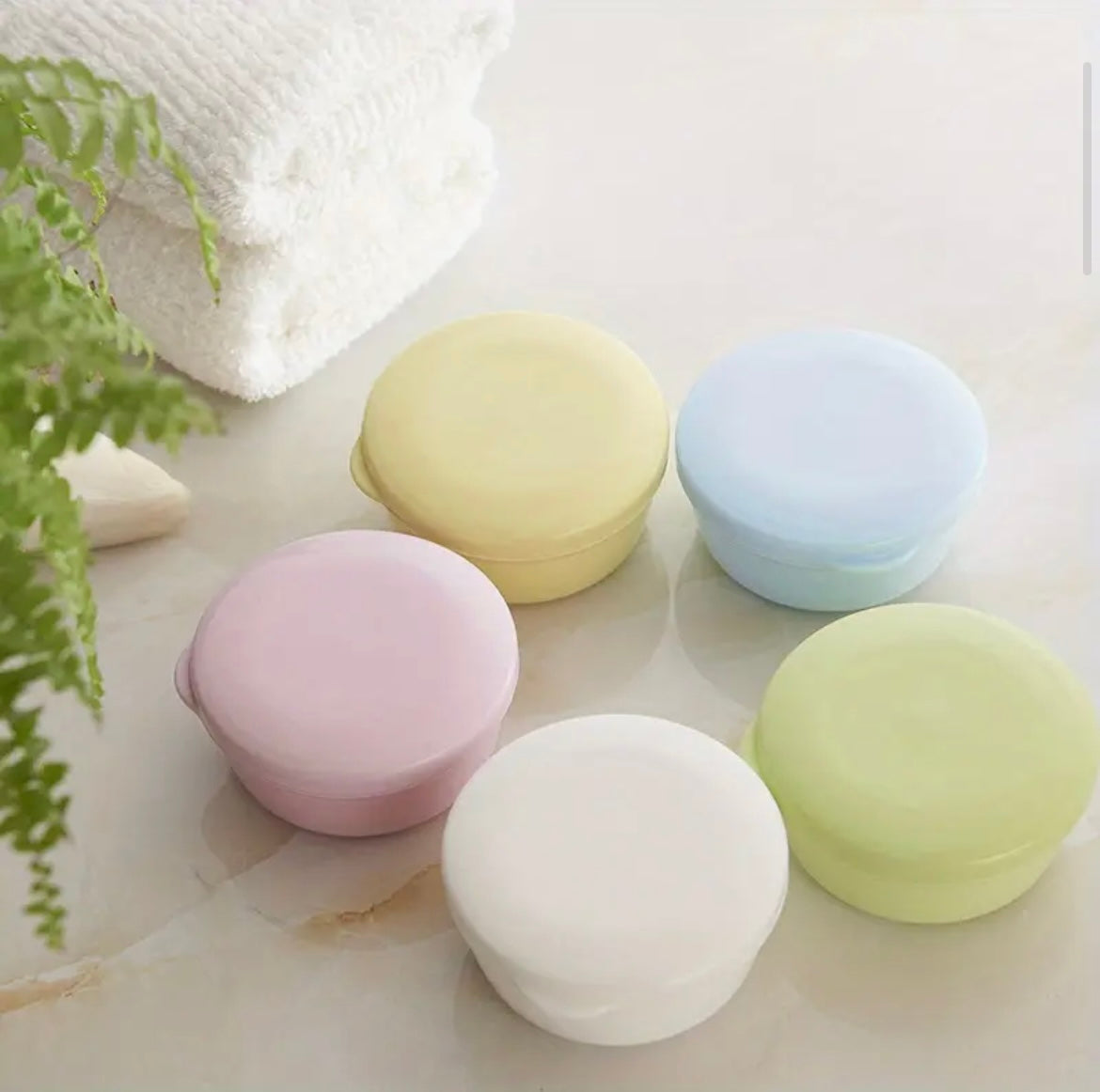 Seaweed Exfoliating Sponge- 1 Ct. Plus Sponge Drainer/Soap Box