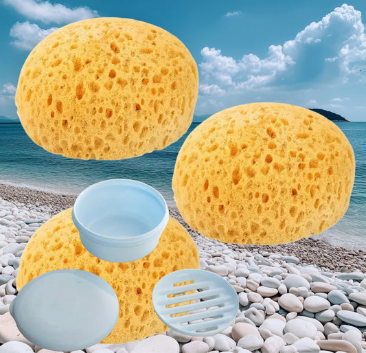 Seaweed Exfoliating Sponge- 1 Ct. Plus Sponge Drainer/Soap Box